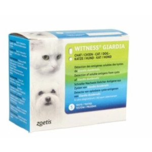 WITNESS GIARDIA Diagnostik Schnelltest vet.